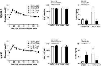 Interleukin 1 Receptor 1 Knockout and Maternal High Fat Diet Exposure Induces Sex-Specific Effects on Adipose Tissue Adipogenic and Inflammatory Gene Expression in Adult Mouse Offspring